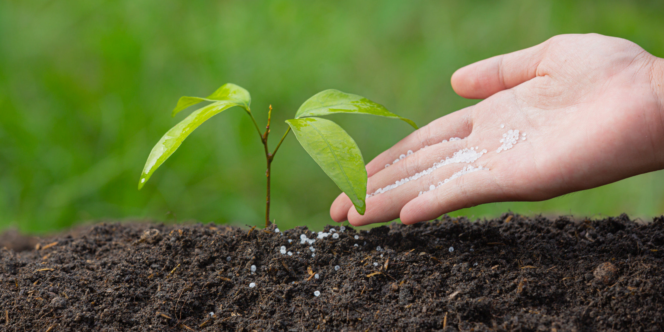 Компанія In Force Chemical пропонує найякісніші мікродобрива