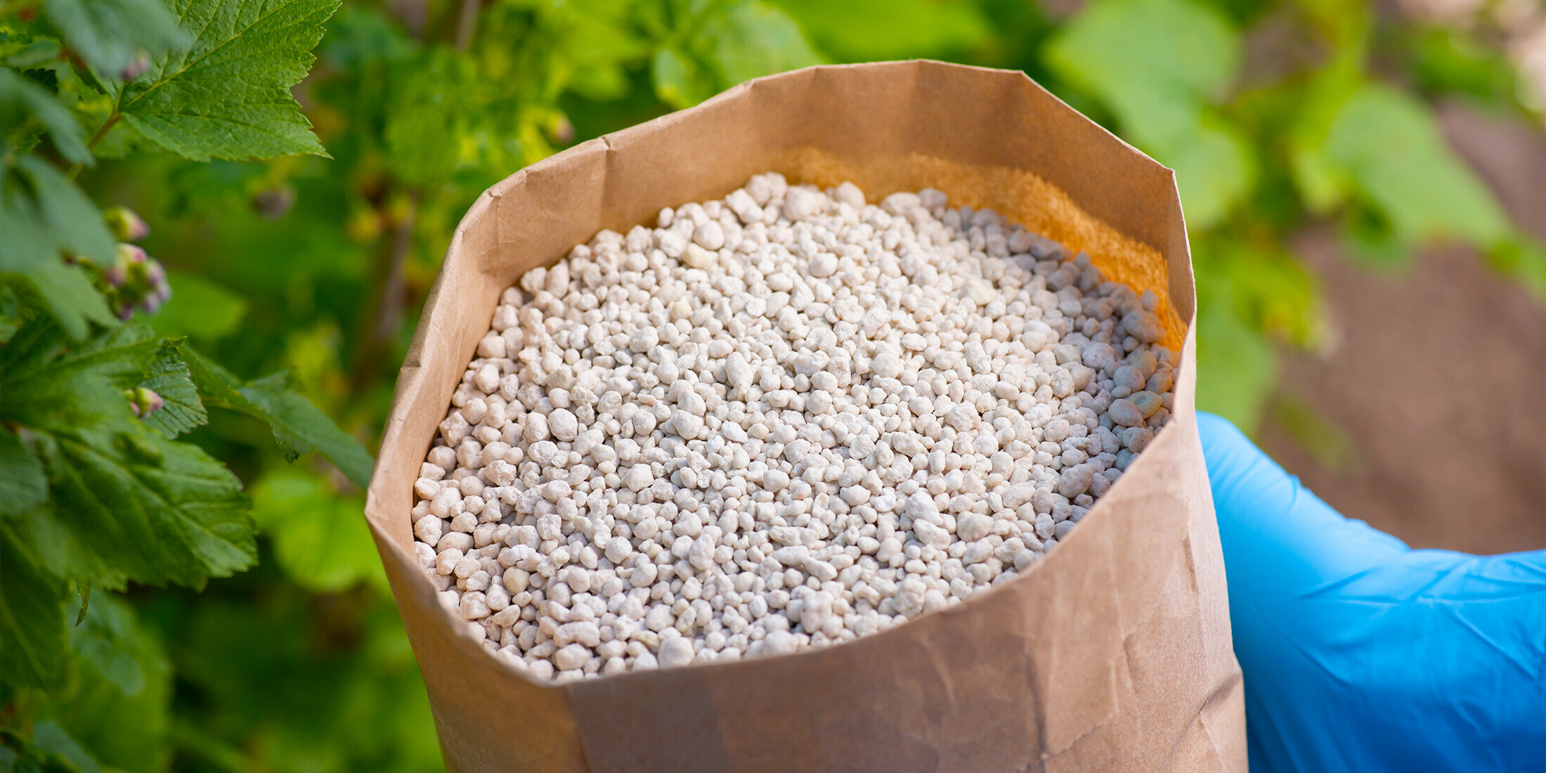 Минеральные удобрения от компании In Force Chemical