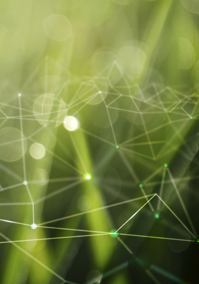 In Force Chemical надає гарантії якості продукту