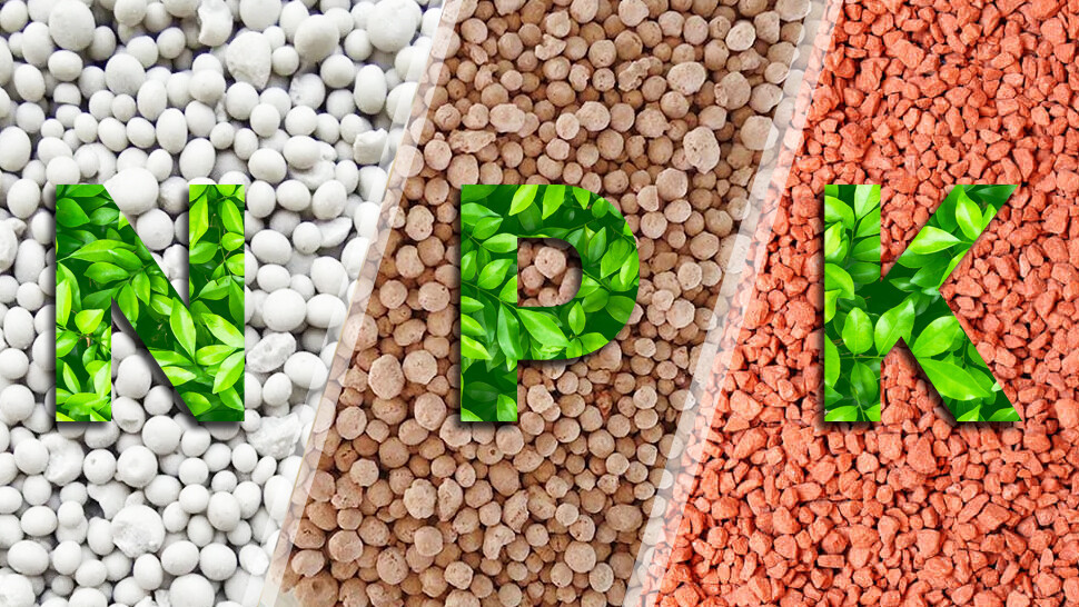 Компанія Ін Форс Кемікал пропонує набір якісних добрив