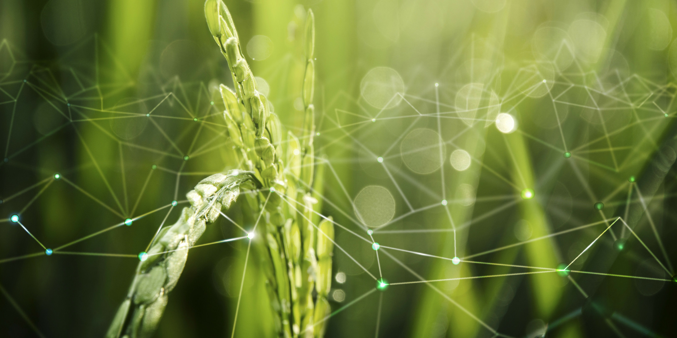 Компанія In Force Chemical надає професійні послуги вам та вашому господарству