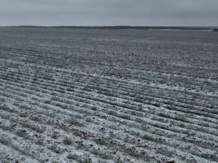 Поле озимих культур на мерзлоталому ґрунті з залишками снігу під час лютневих вікон