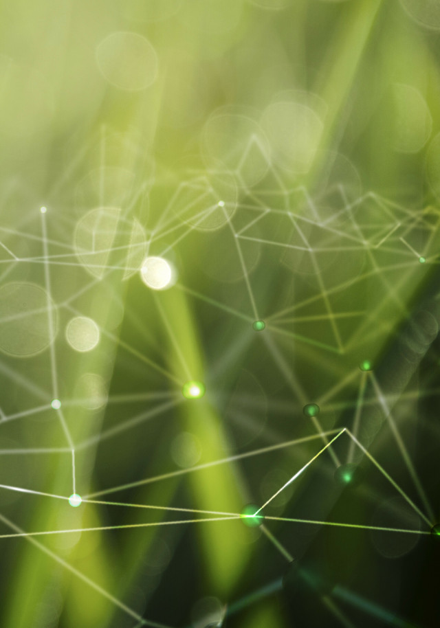 In Force Chemical предоставляет гарантии качества продукта